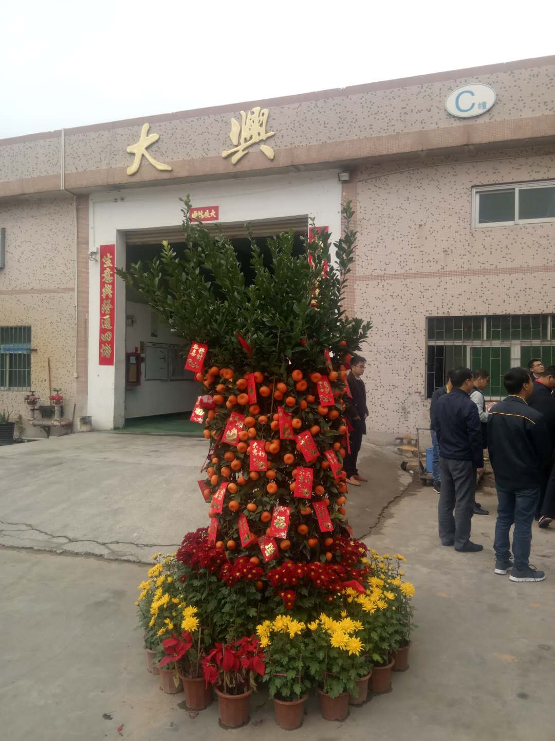 大興智能機(jī)械 擺的桔子樹（吉詳村）